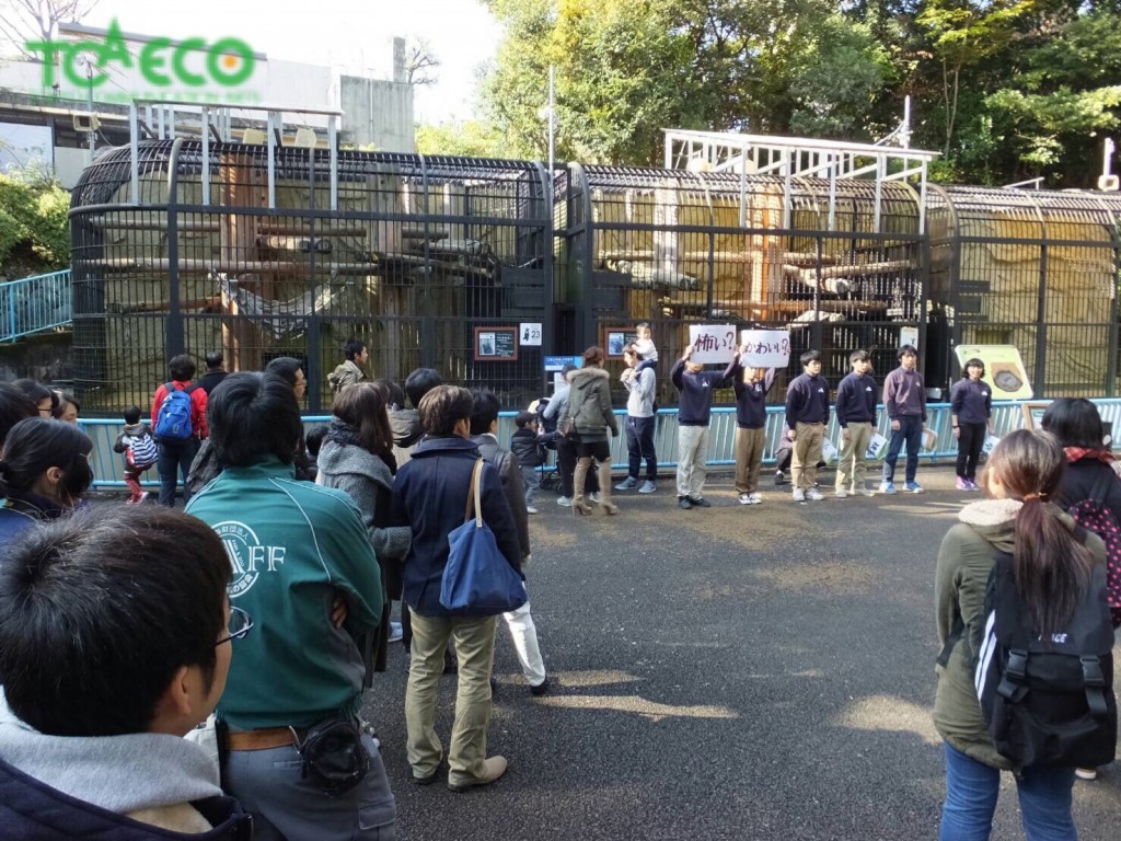 野毛山動物園で解説プロジェクト。のサムネイル画像