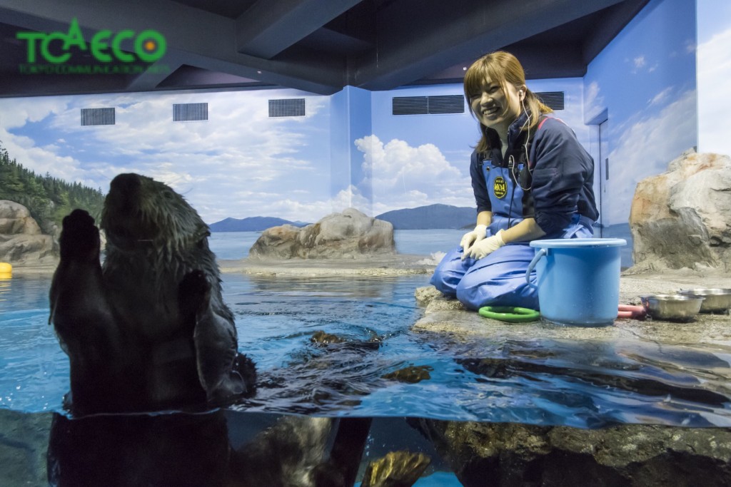 新潟市水族館 マリンピア日本海さんで勤務の卒業生さんたちから。のサムネイル画像