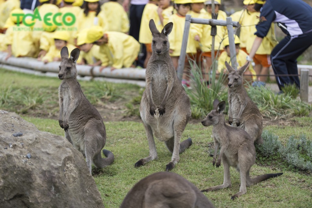 動物園飼育員として活躍をしている卒業生さんからのメッセージのサムネイル画像