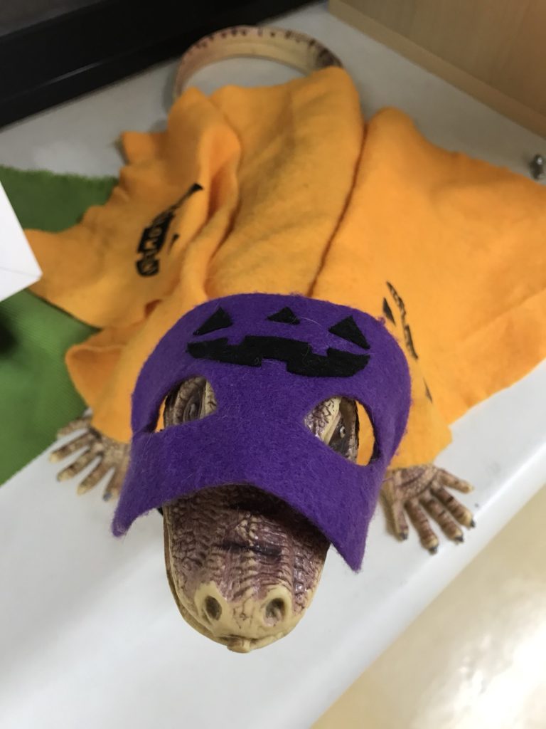 校内がハロウィン仕様に！のサムネイル画像