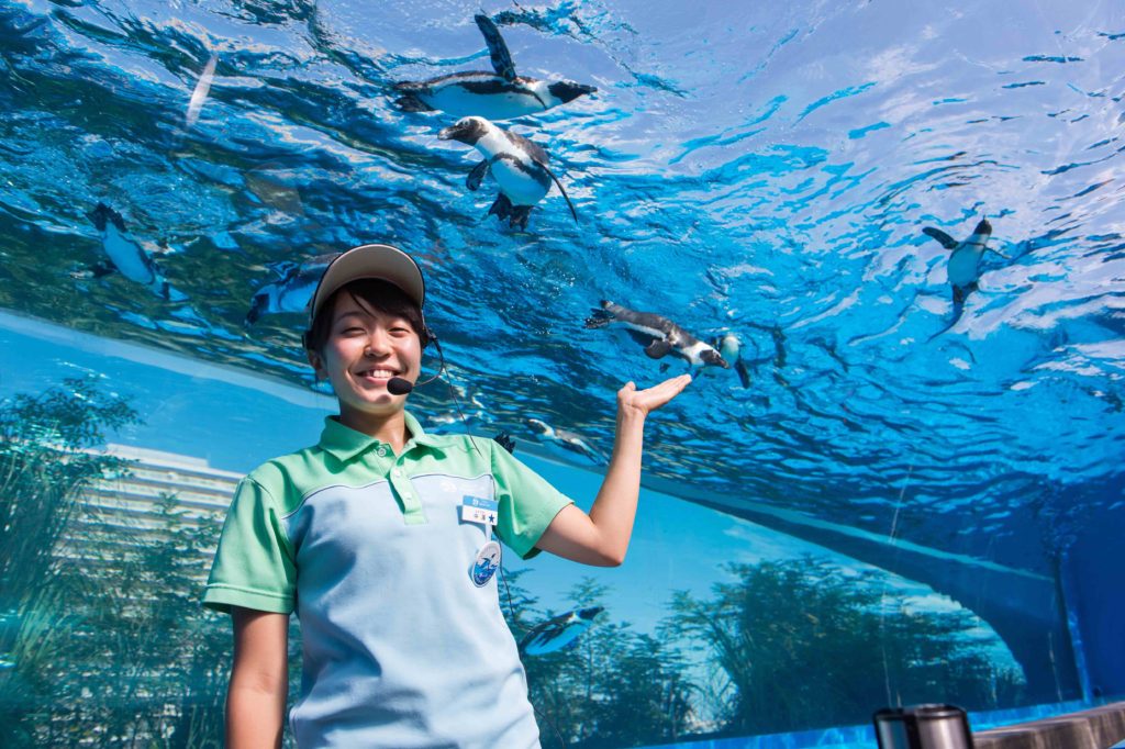 サンシャイン水族館おでかけオープンキャンパス開催！のサムネイル画像