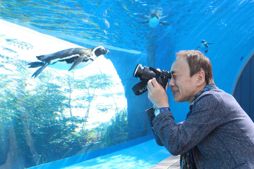 サンシャイン水族館へお邪魔してきました。のサムネイル画像