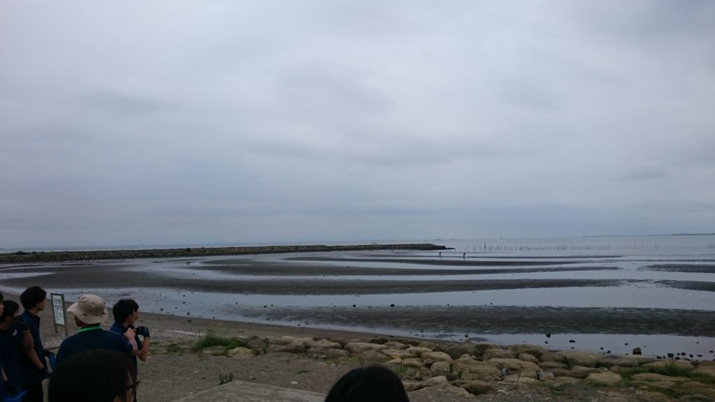 葛西臨海公園　干潟は生物の楽園だった！のサムネイル画像