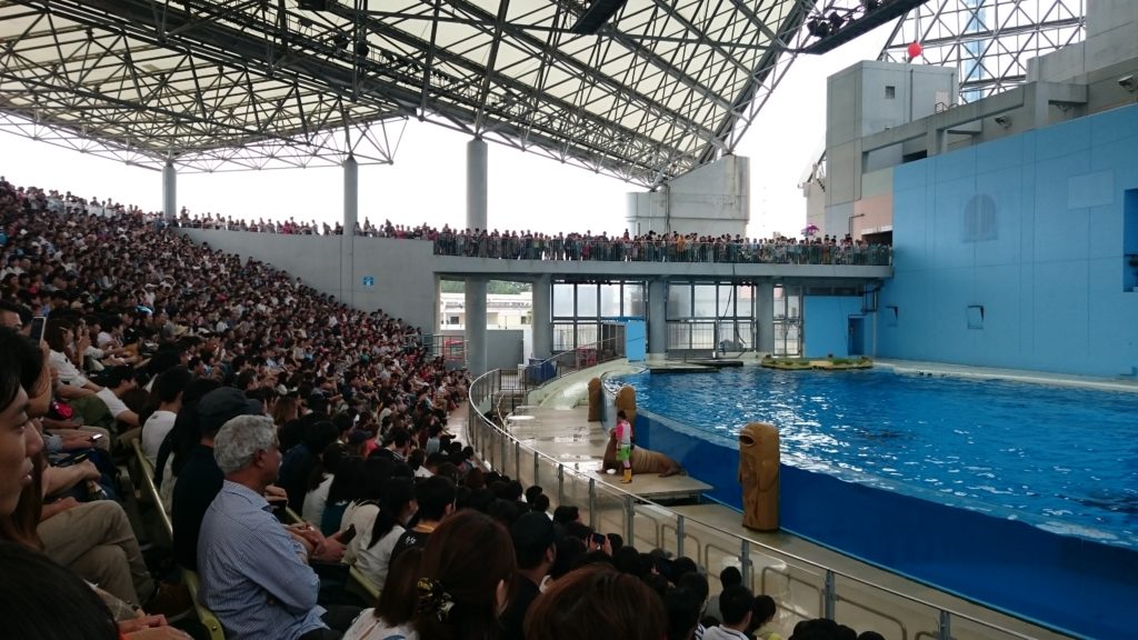 おでかけ八景島シーパラダイスに行ってきました！！のサムネイル画像