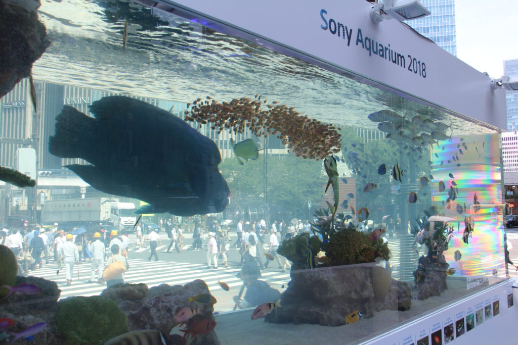 「Sony Aquarium 2018」のサムネイル画像