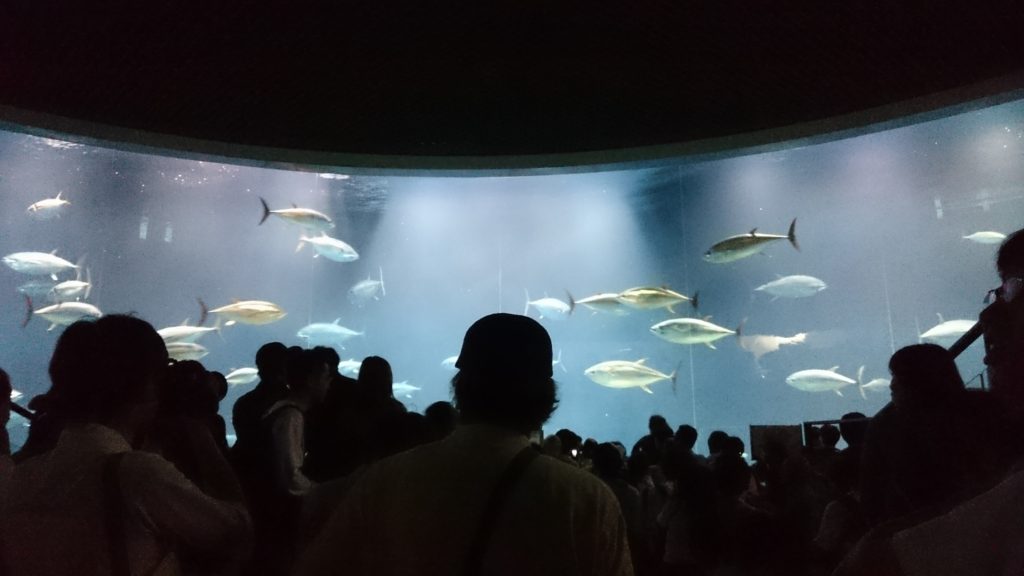 おでかけ葛西臨海水族園！！のサムネイル画像