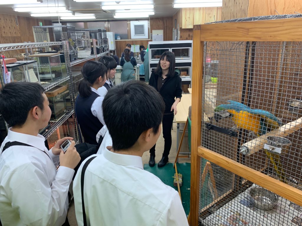 中学生さんがECOにやってきましたよのサムネイル画像