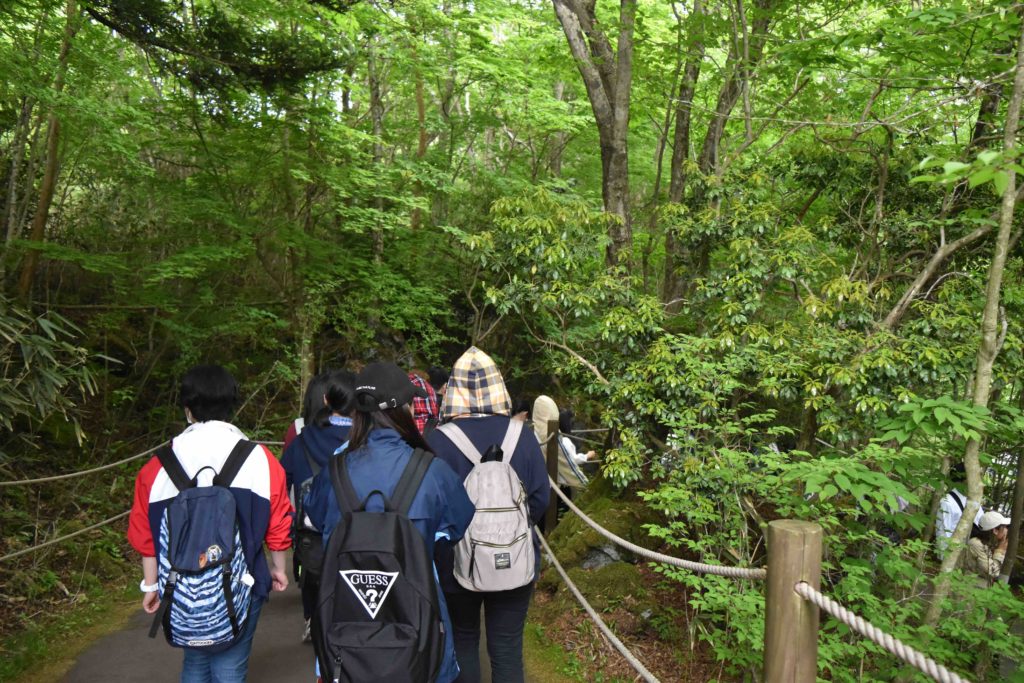 富士サファリパーク見学実習のサムネイル画像