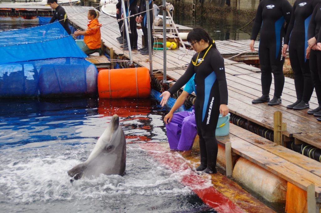 海洋ワールド伊豆実習初日のサムネイル画像