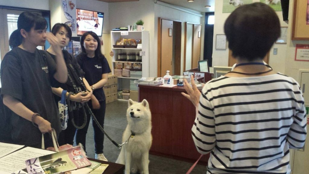 実習風景のご紹介～ペットワールド～4のサムネイル画像