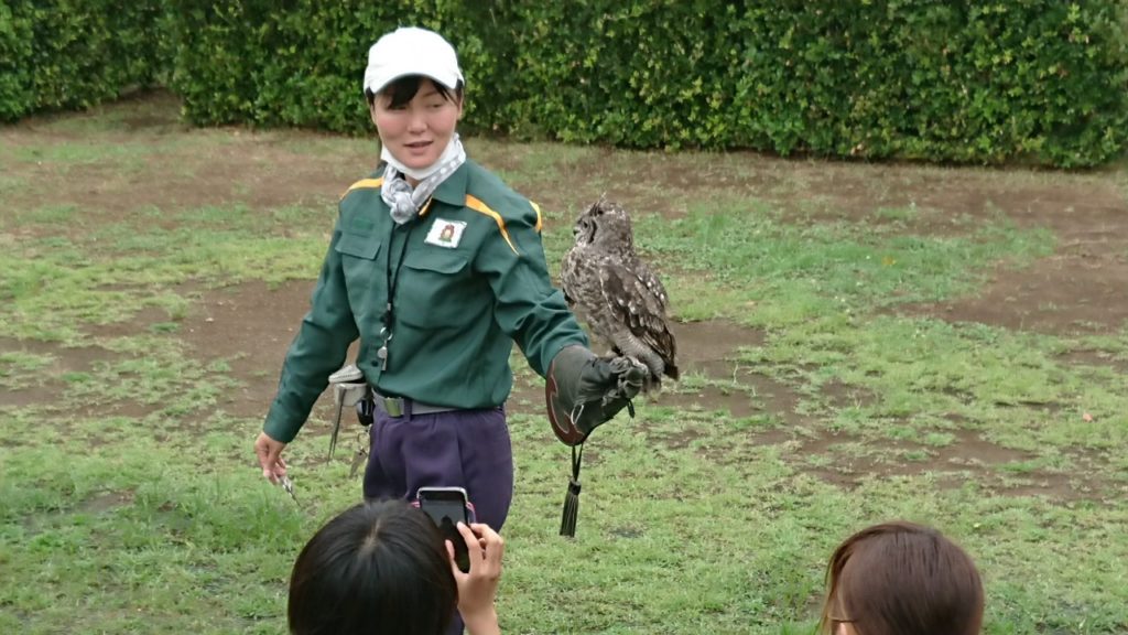 ゆめたび2019～よこはま動物園ズーラシア～バードショーのサムネイル画像