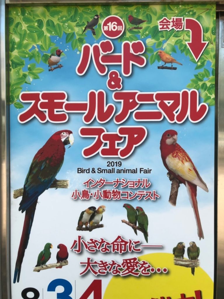 バード＆スモールアニマルフェア！のサムネイル画像