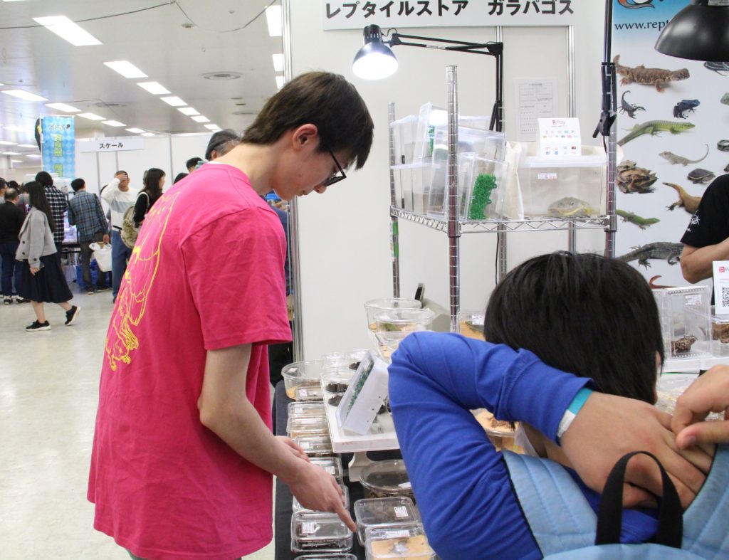 東京レプタイルズワールド2019のサムネイル画像