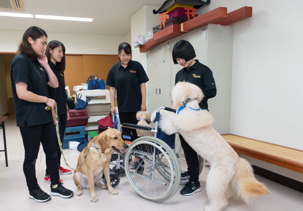 実習風景のご紹介～ペットワールド～のサムネイル画像