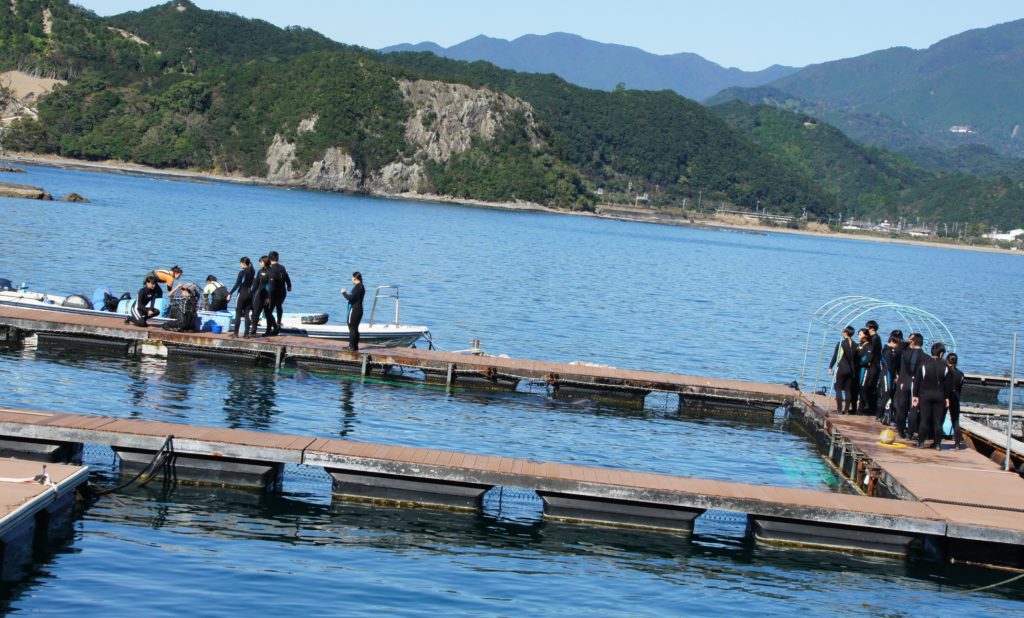 実習風景のご紹介～海洋ワールド～4のサムネイル画像