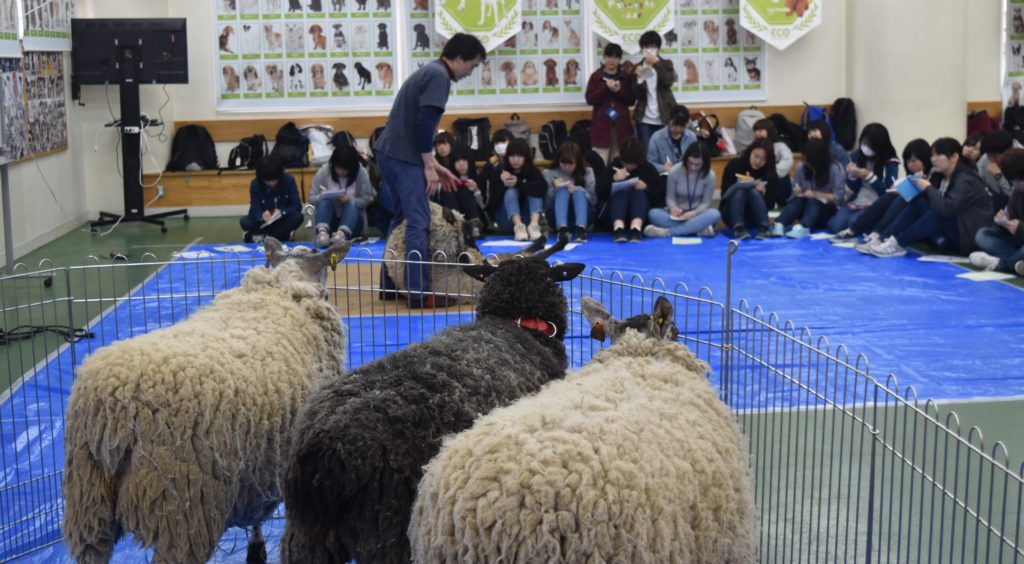 実習風景のご紹介～動物ワールド～4のサムネイル画像