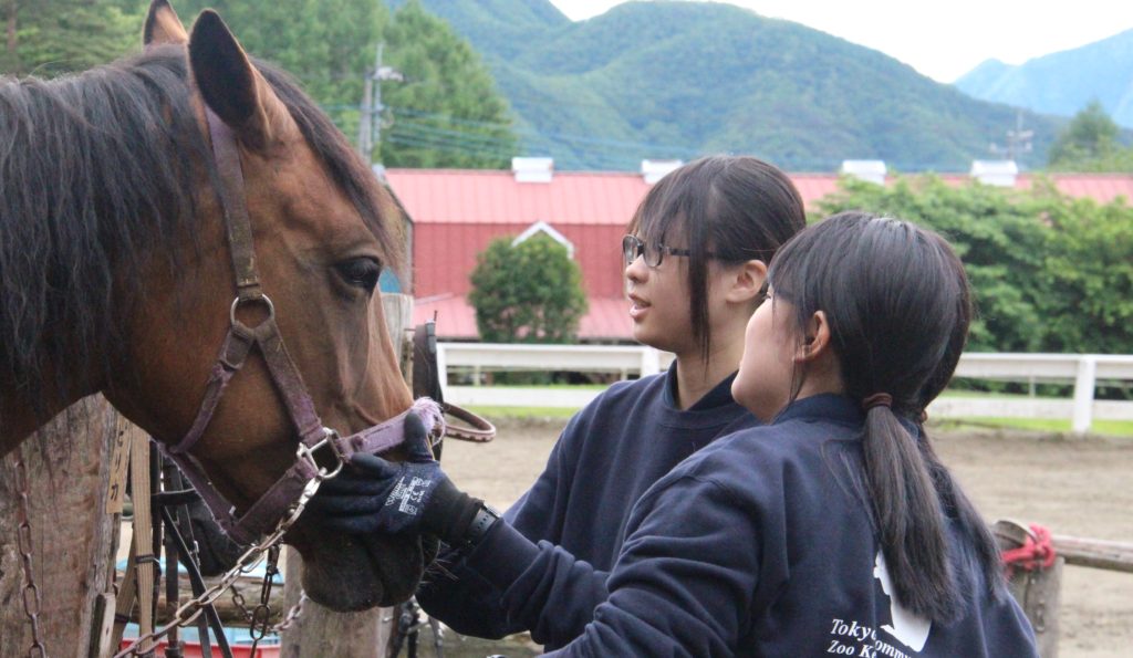 実習風景のご紹介～動物ワールド～のサムネイル画像