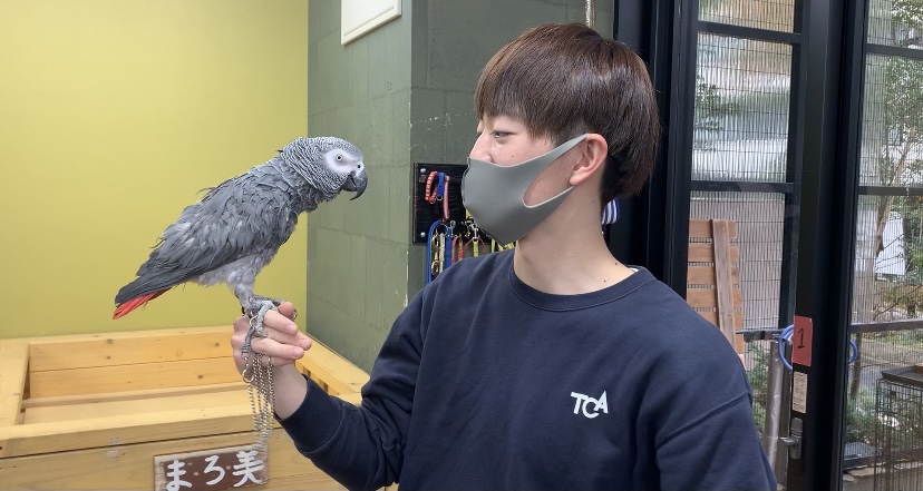 つぶの得意技第二弾✨🐦のサムネイル画像