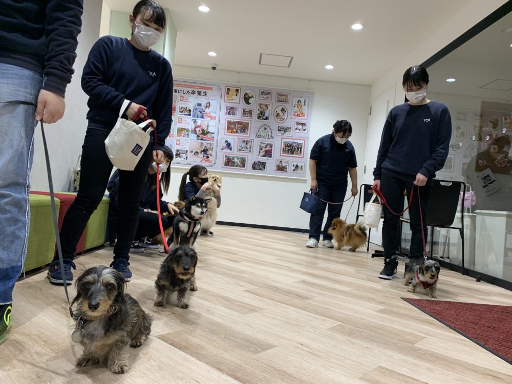 ご主人様に早く会いたいッ🐶のサムネイル画像