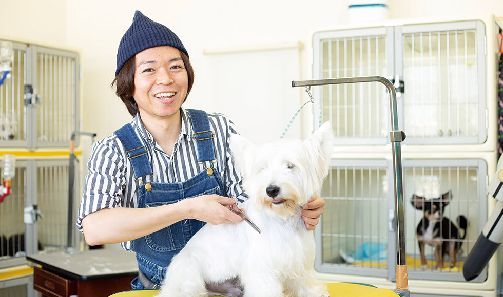 ペットサロンオーナー @ Pet care salon glanのサムネイル画像