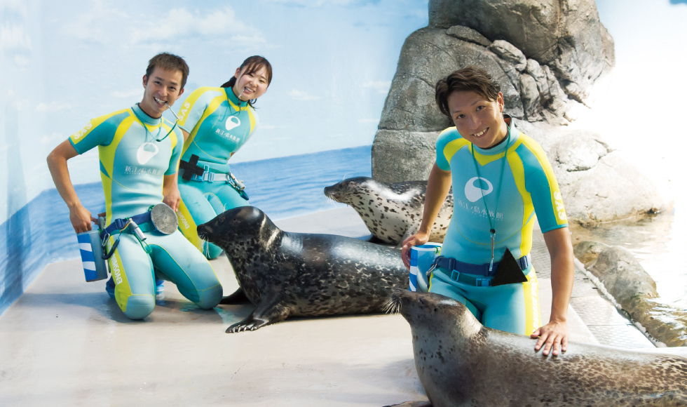 海獣トレーナー&水族館飼育スタッフ @ 新江ノ島水族館のサムネイル画像