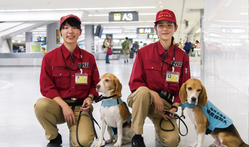 検疫探知犬ハンドラー @ 株式会社MILANコーポレーションのサムネイル画像