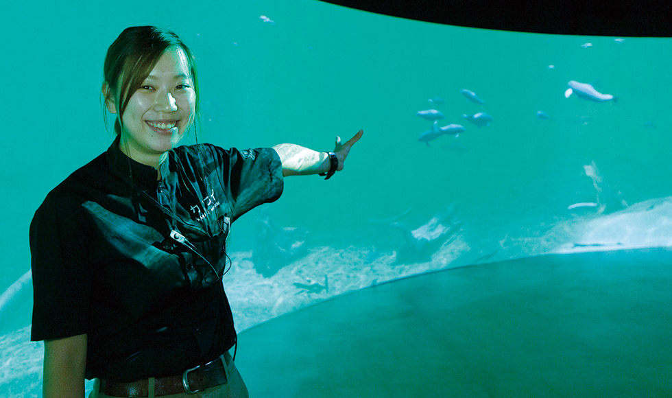 水族館スタッフ @ カワスイ 川崎水族館のサムネイル画像