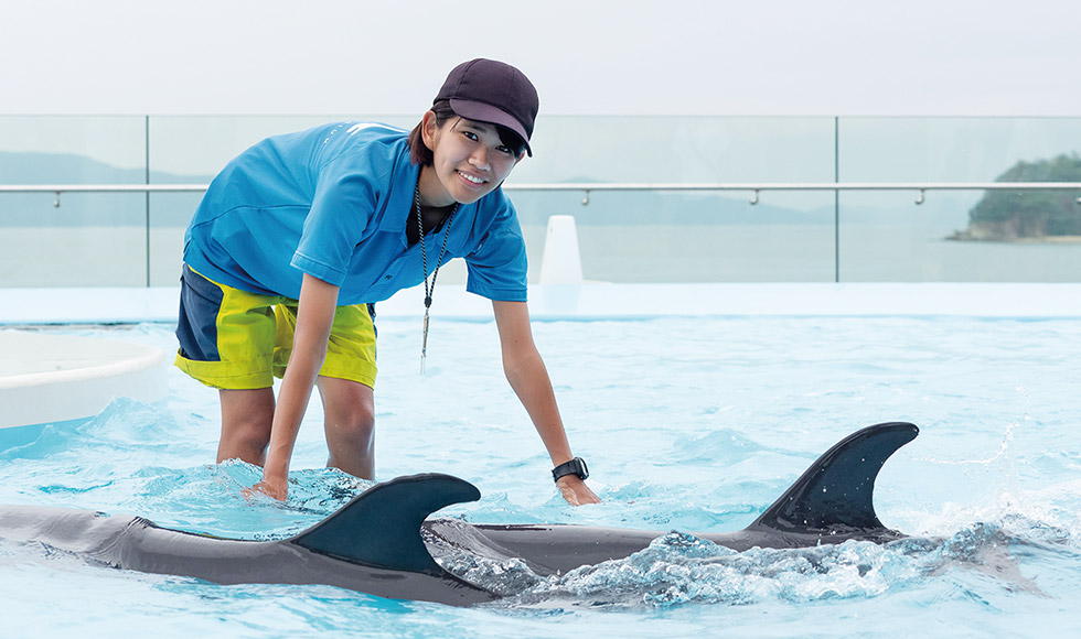 海獣類トレーナー＆水族館スタッフ @ 四国水族館のサムネイル画像