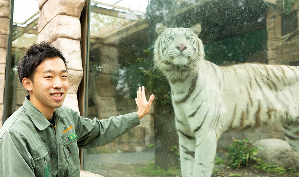 飼育スタッフ @ 東武動物公園のサムネイル画像