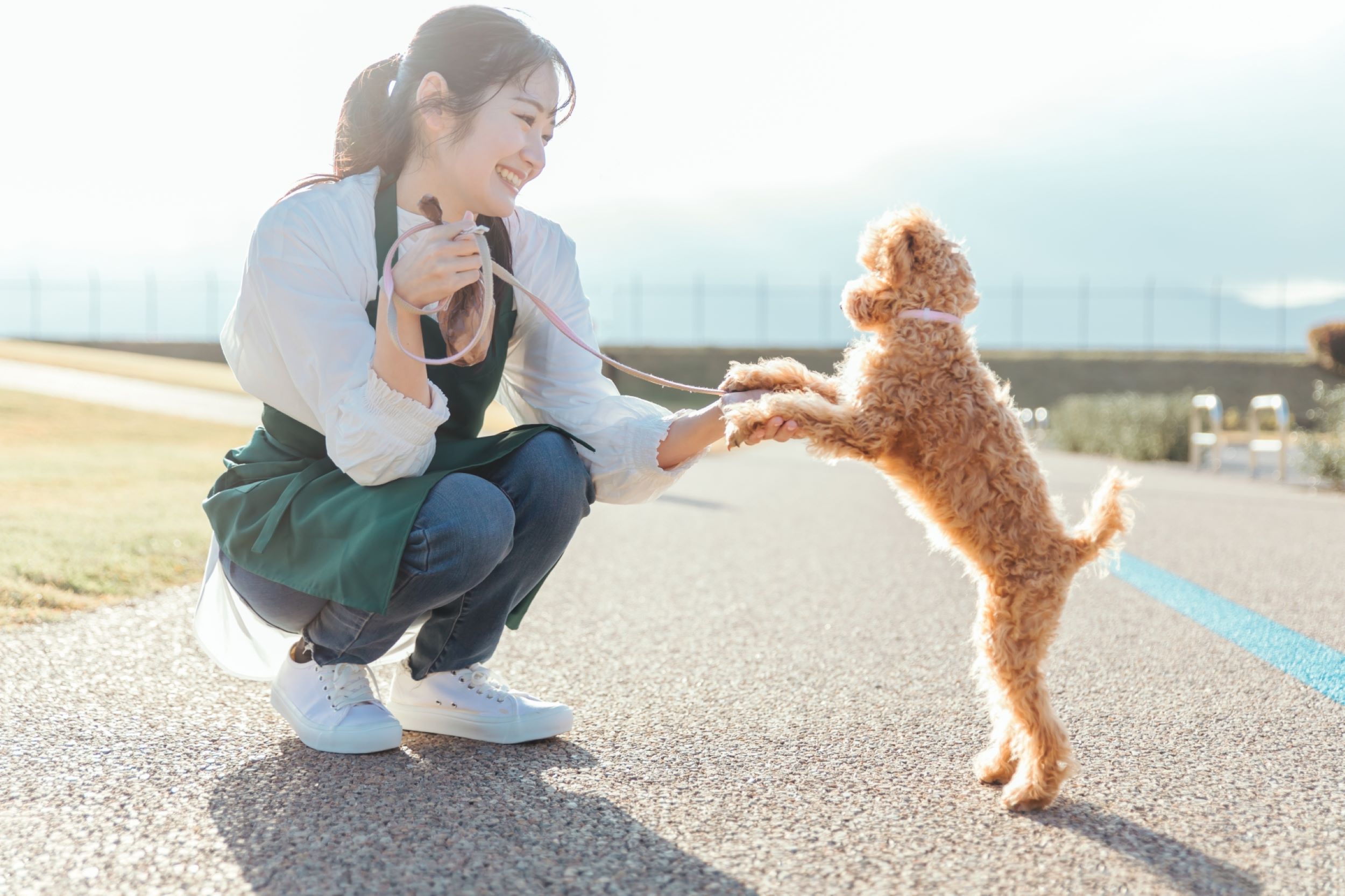 ドッグトレーナーはどんな人が向いている？