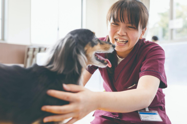 動物介護士に向いている人とは？