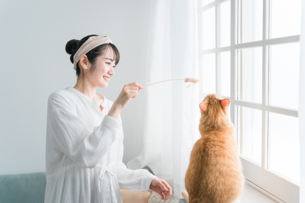 猫カフェと通常のカフェの違いとは？