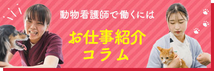 動物看護業界で働くには！お仕事紹介コラム