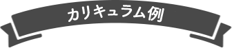 カリキュラム例