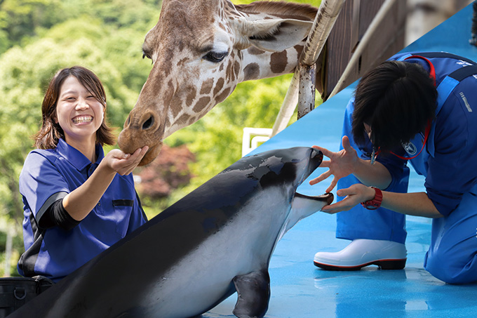 水族館・動物園看護師専攻[4年制]