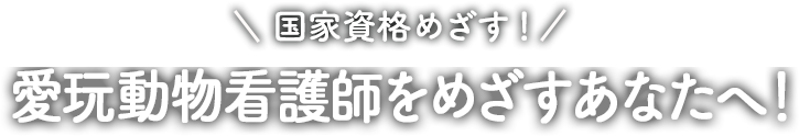 国家資格めざす！愛玩動物看護師をめざすあなたへ！