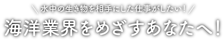 水中の生き物を相手にした仕事がしたい！海洋業界をめざすあなたへ！