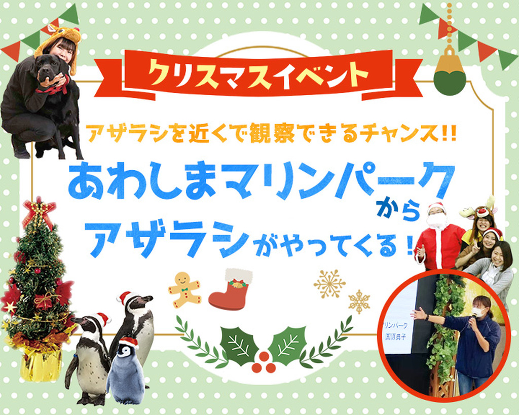 X'masスペシャル！あわしまマリンパークからアザラシがやってくる！