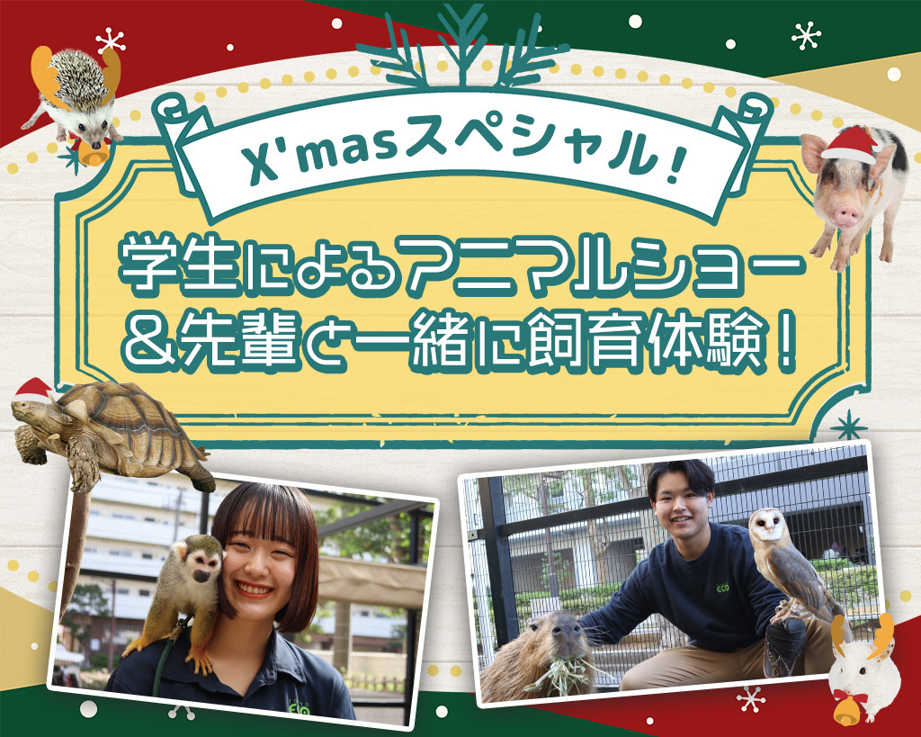 X'masスペシャル！学生によるアニマルショー＆先輩と一緒に飼育体験！