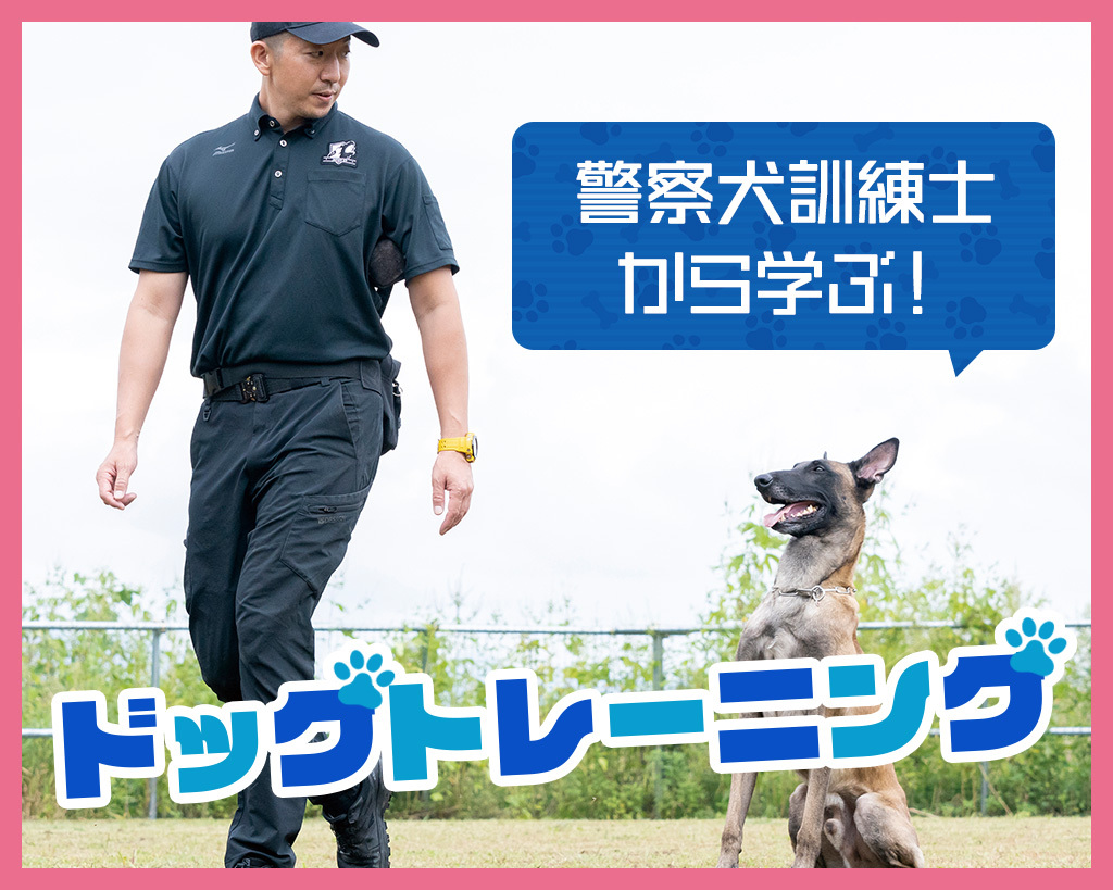 【警察犬訓練士から学ぶ！】 ドッグトレーニング