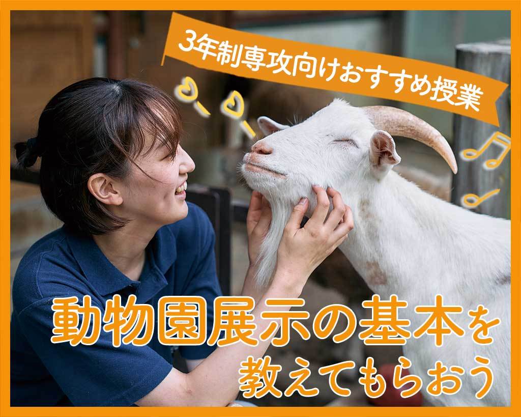 【3年制専攻向けおすすめ授業】動物園展示の基本を教えてもらおう