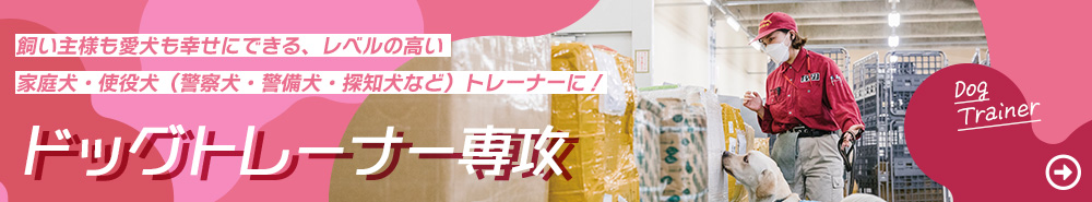 ドッグトレーナーになる方法 仕事内容から就職先や年収までを全まとめ 動物 海洋 ペット業界コラム