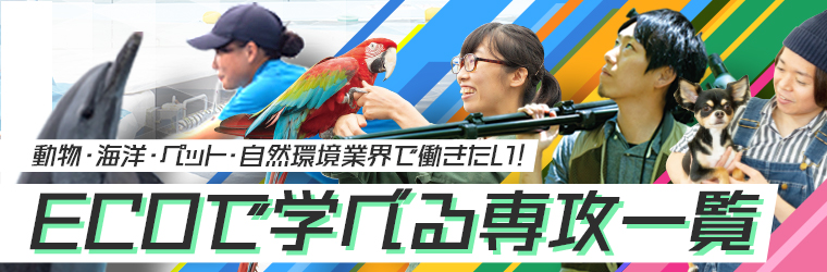 動物に関わる仕事は国家資格が必須 動物と触れ合う仕事系統別15選 動物 海洋 ペット業界コラム