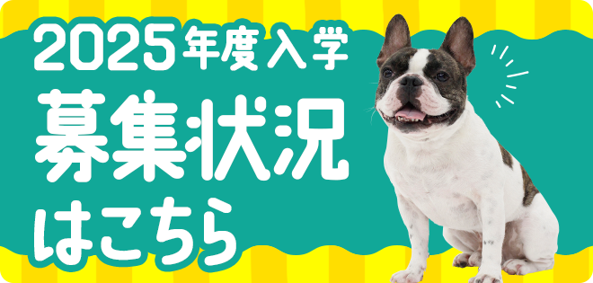 2025年度入学募集状況はこちら